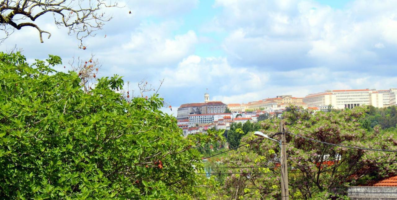 Feel Coimbra Apartments Εξωτερικό φωτογραφία